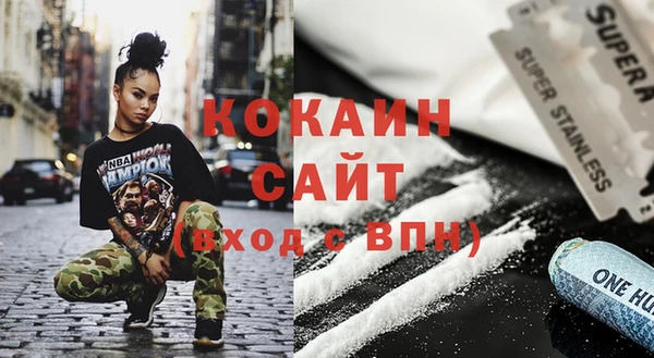 соль ск Няндома