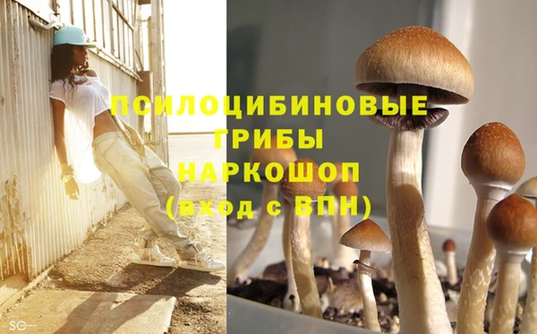 соль ск Няндома