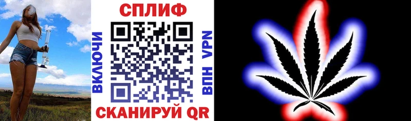 Бошки Шишки сатива Яранск